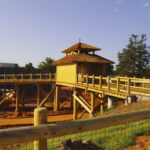 elephant ok zoo gb pilings