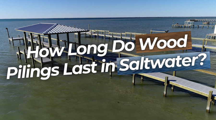 wood pilings saltwater