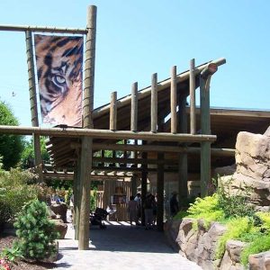 eer-zoo-gun-barrel-pilings-BIG